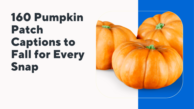 Pumpkin Patch Captions