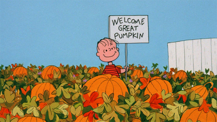 Pumpkin Patch Captions